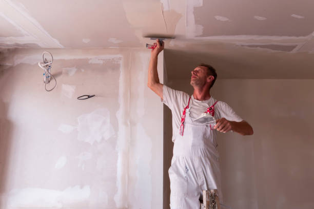 Best Drywall Finishing  in Ruskin, FL