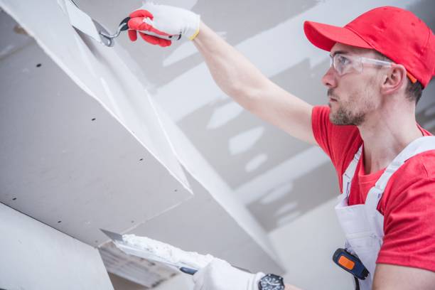 Best Water-Damaged Drywall Repair  in Ruskin, FL